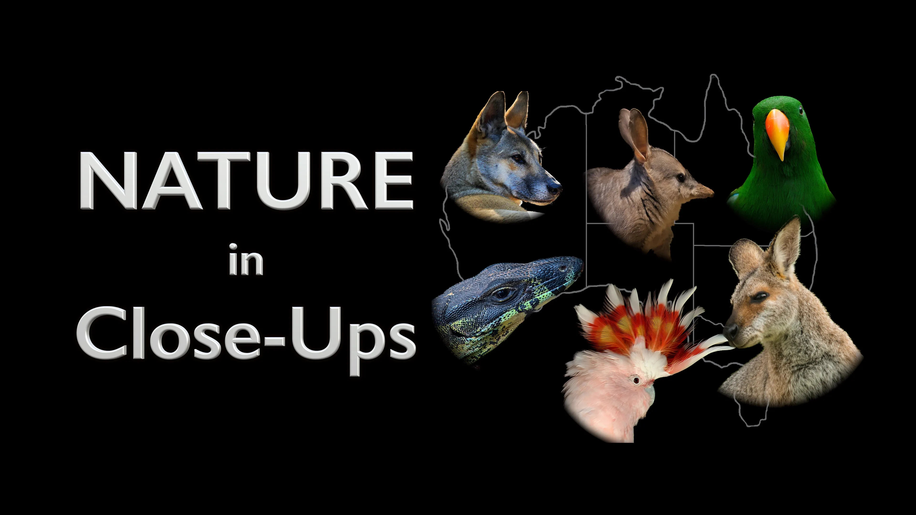 Nature in Close-Ups poster
